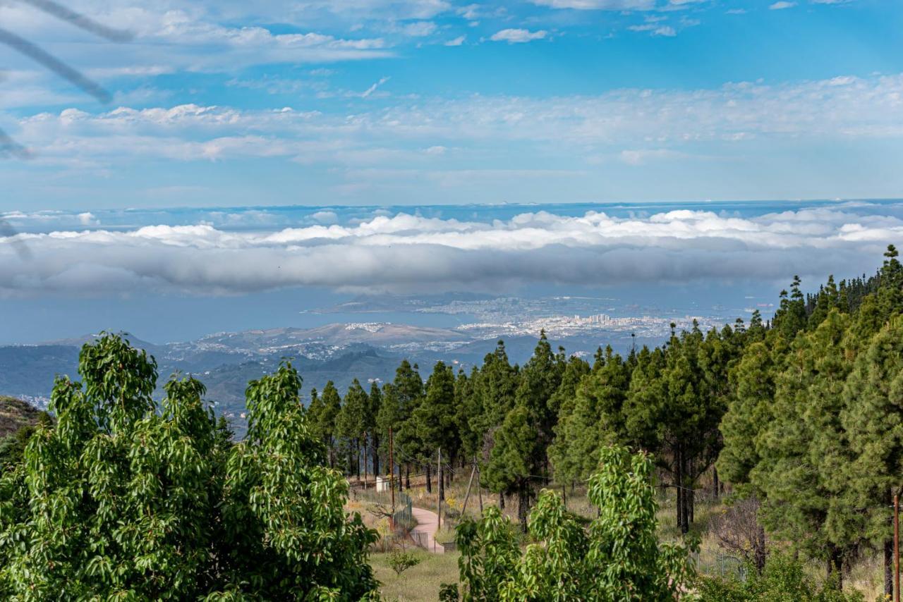 Roque Nublo Rural Houses I Vega de San Mateo Zewnętrze zdjęcie